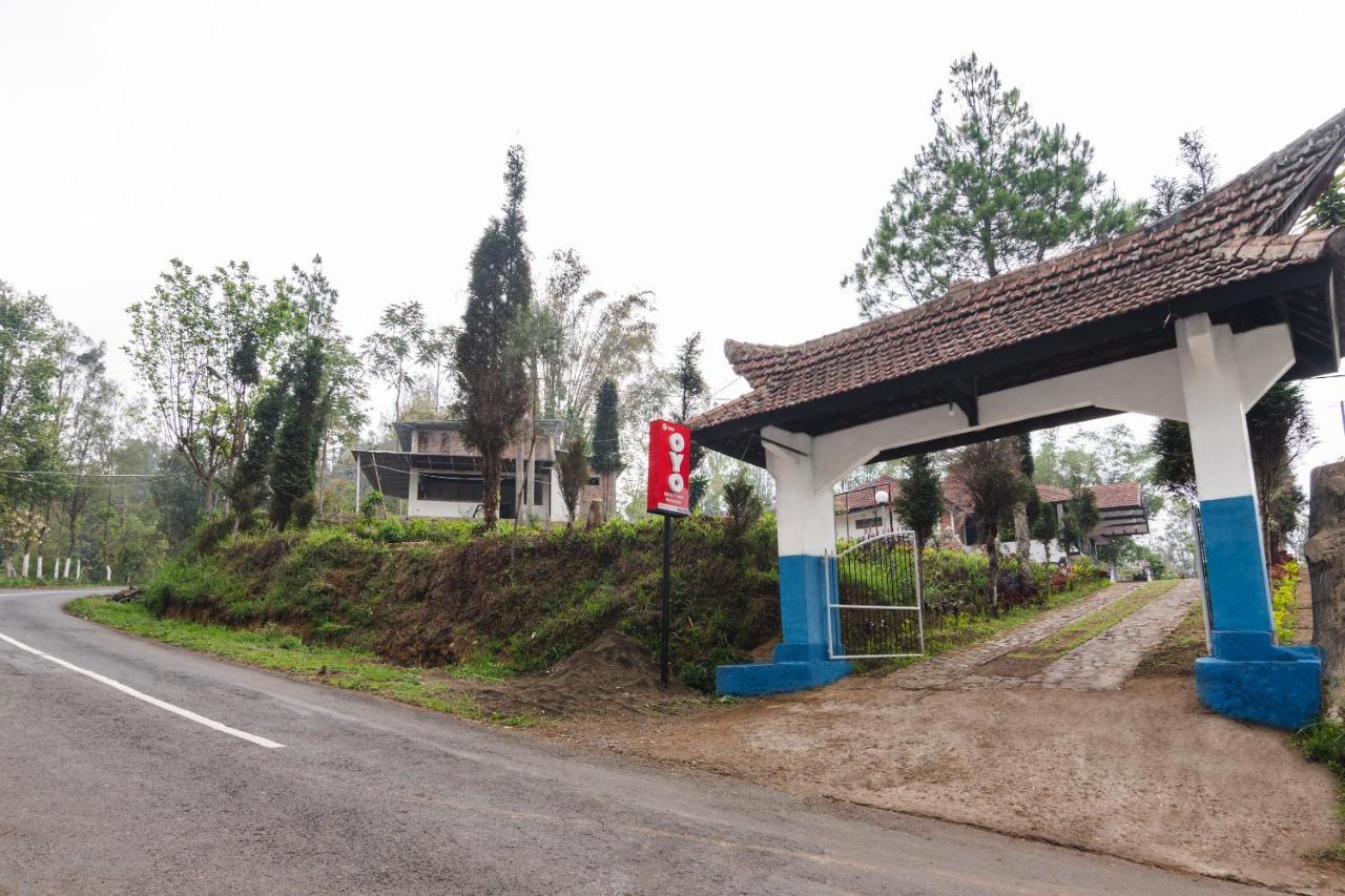 Oyo 1852 Intan Bromo Homestay Pasuruan Exteriör bild